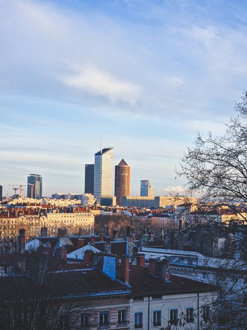Lyon Part Dieu office removals checklist for busy days